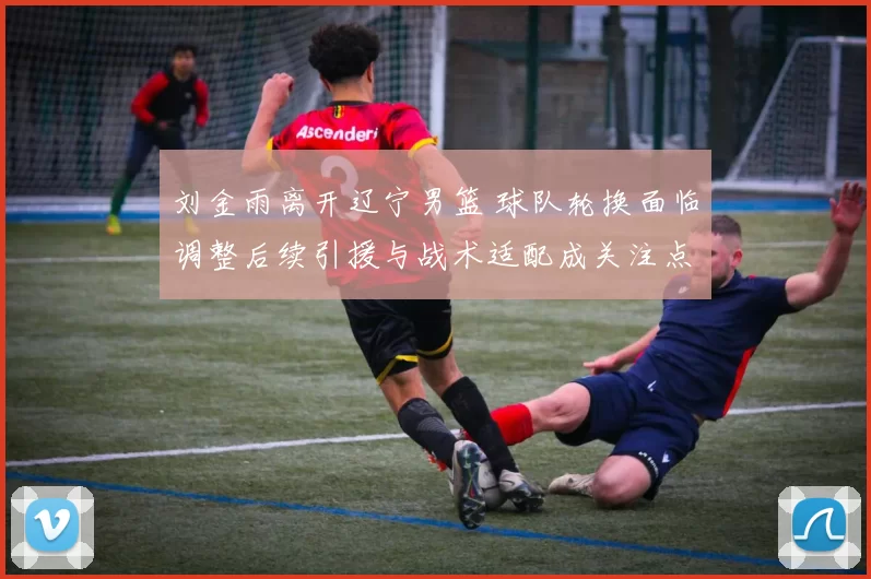 刘金雨离开辽宁男篮 球队轮换面临调整后续引援与战术适配成关注点