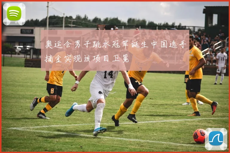 奥运会男子跳水冠军诞生中国选手摘金实现该项目卫冕